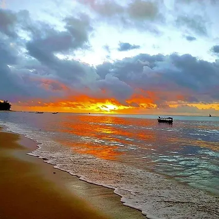 Coco Reef Ecolodge-3