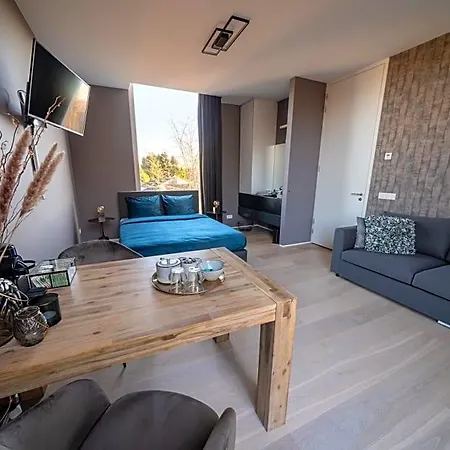 Bed&Wellness Boxtel, luxe kamer met airco en eigen badkamer-3
