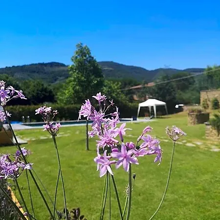 Alba Morus Bed & Breakfast, Sentiti A Casa Nel Cuore Della Toscana-2