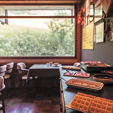 Les Cèdres - Hôtel - Restaurants - Spa-2