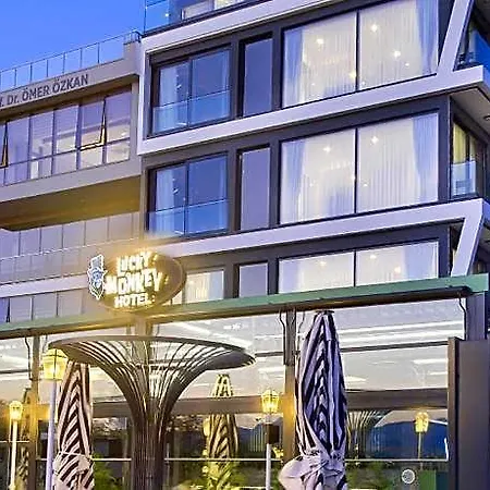 Lucky Monkey Hotel-3