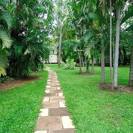 Pandanus On Litchfield-2