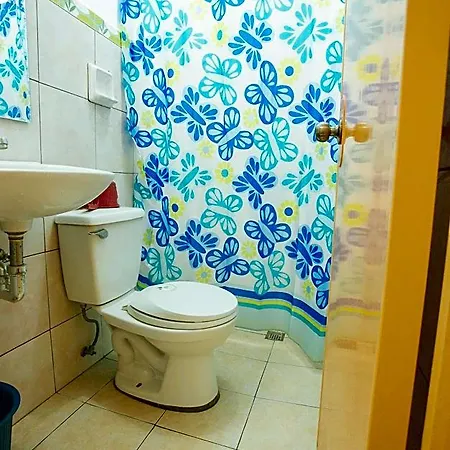 Gv Hotel - Tagbilaran City-3