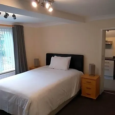 The Tiger - Formerly Cassia Rooms-2