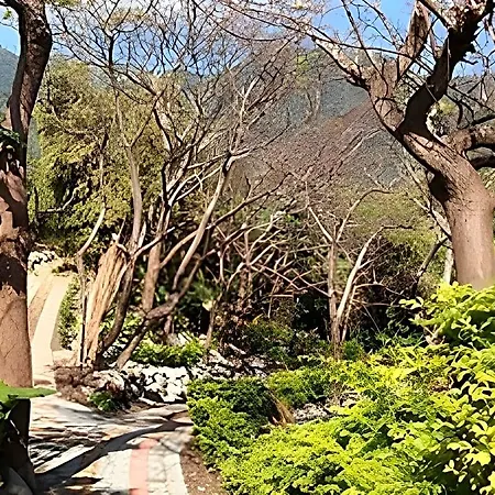 Lehuo Shoudo Moli Homestay-3