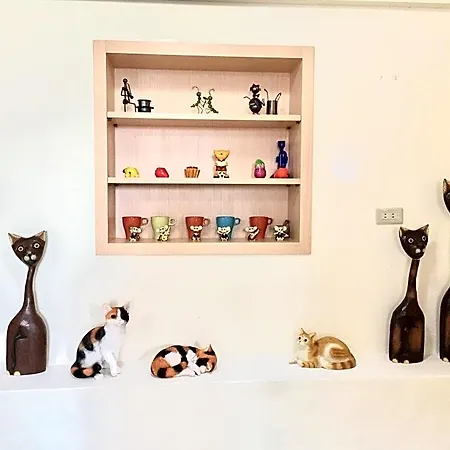Mew'S House-2