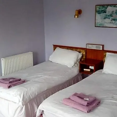 Neuadd Arms Hotel-2