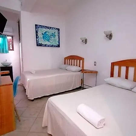 Casa Tortuga Azul-3