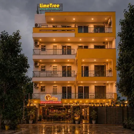 Lime Tree Luxury Studio - Service Apartment Near Artemis Hospital ,Gurgaon-2