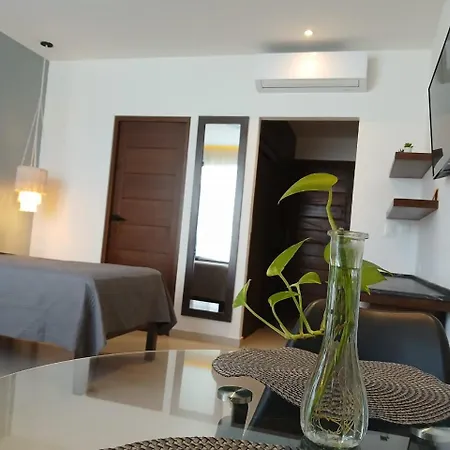 Ah Xok Suites 5A Avenida-3