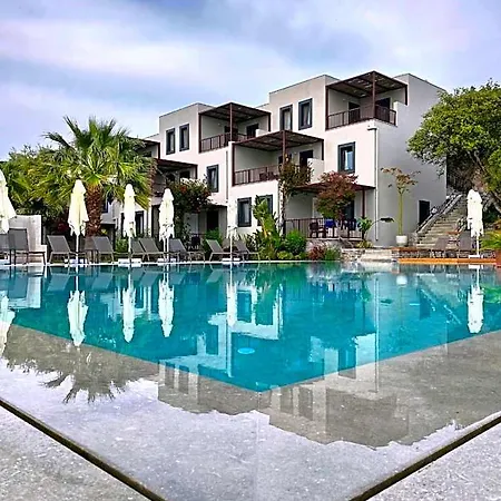 Dorman Suites-3