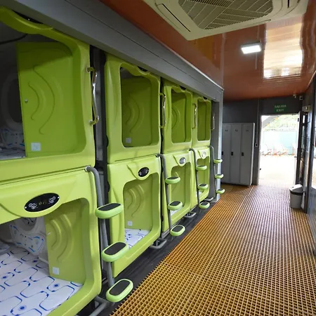 Capsule Pupa House (Adults Only)-3