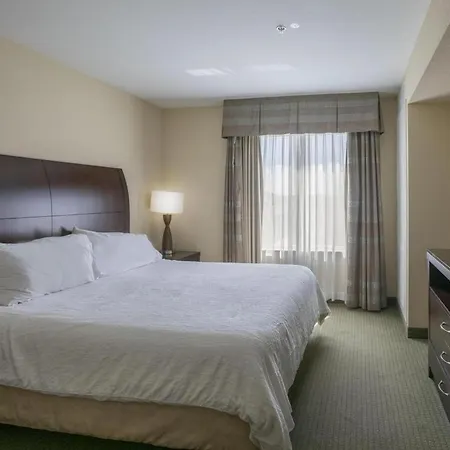 Hilton Garden Inn Lakeland-2