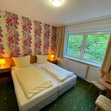 Waldhotel Am Ilsestein-2