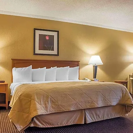 Clarion Hotel & Suites Riverfront-3