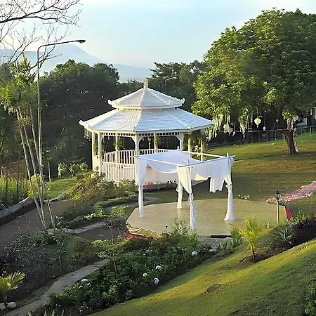 Amanda Hills-3