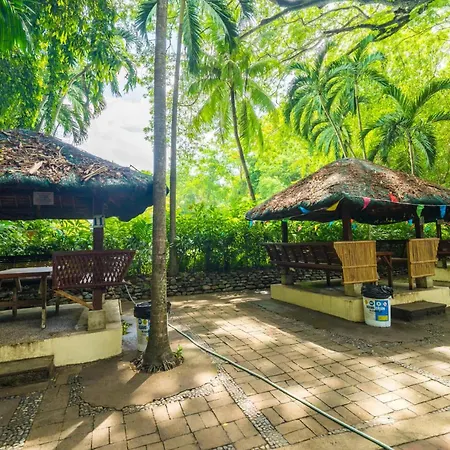 Lisland Rainforest Resort-3