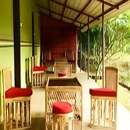 Bastar Jungle Resort-3