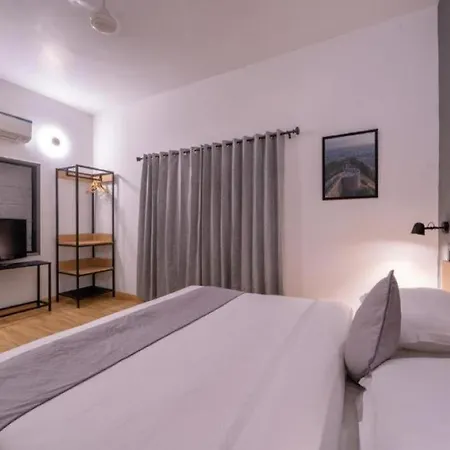 Loft 24-2