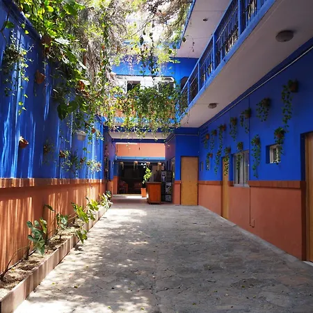 Hotel Don Candido-3