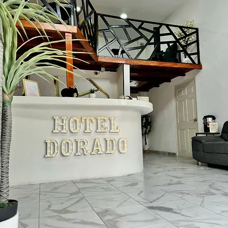 Hotel Dorado-2