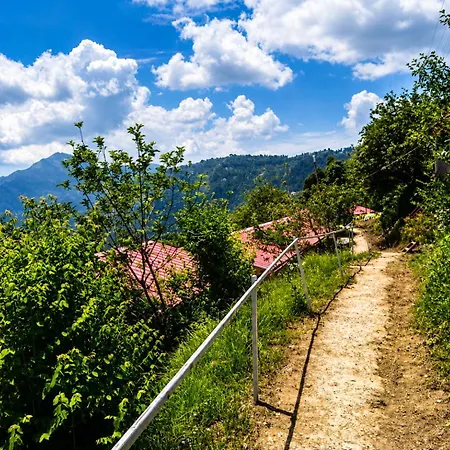 Bliss Of Nature-2