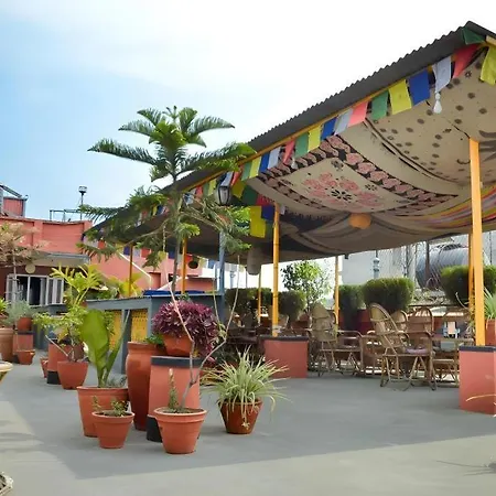 Chill Out Resort-3