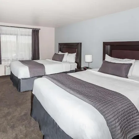 Baymont By Wyndham Glenview-2