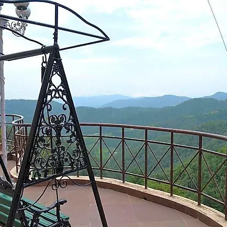 Toshali Royal View Shimla-2