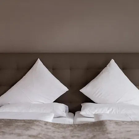 Stadthotel Goldenes Schiff-2