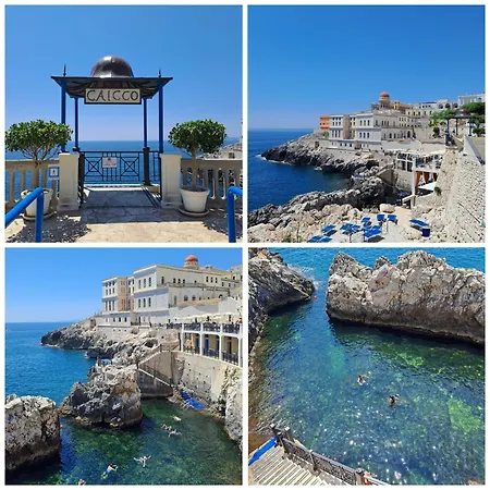 Grand Hotel Mediterraneo-3