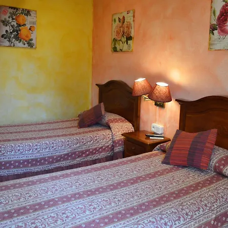 Hotel y Hostal Vall d Aneu-2