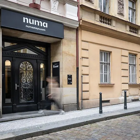 Numa Prague Root-3