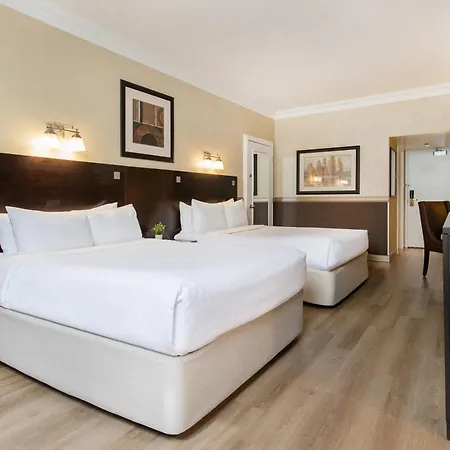 Fantasyland Hotel-2