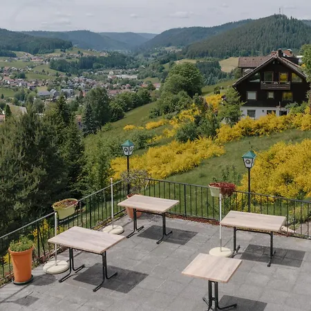 Gaestehaus Talblick Baiersbronn-2
