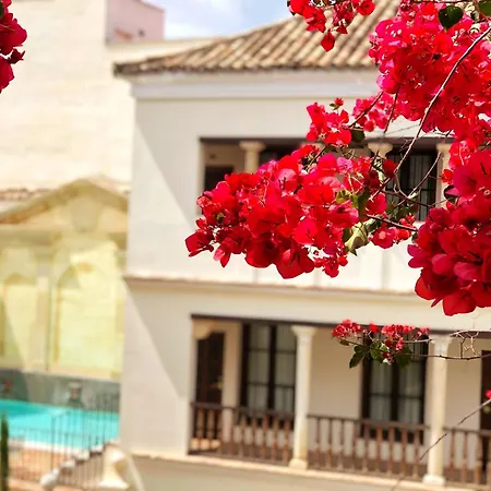 Las Casas De La Juderia De Cordoba-3
