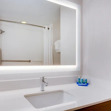 Holiday Inn Express Hotel & Suites Tampa-Fairgrounds-Casino By Ihg-3