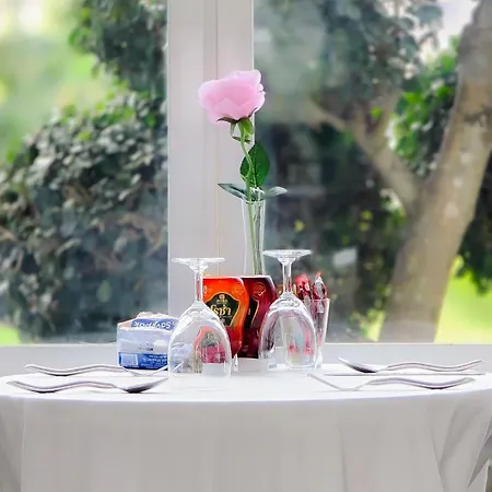 La Vie En Rose - Sha Plus-3