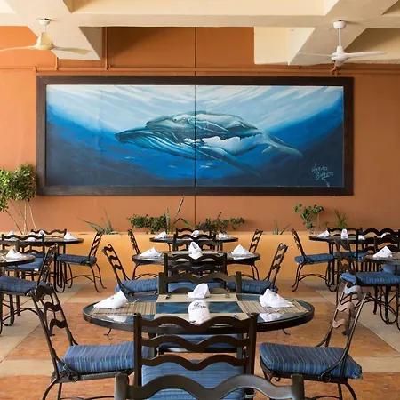 Club Regina Los Cabos-3