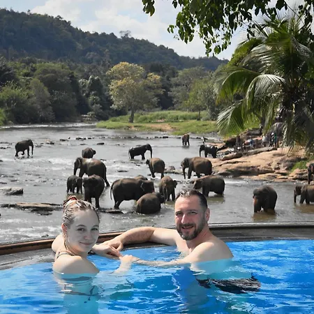 Hotel Elephant Bay - World'S Best Place To See The Elephants-2