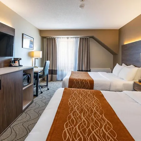 Comfort Inn Lakeshore-2