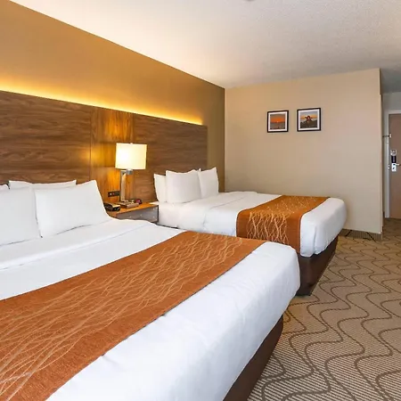 Comfort Inn Lakeshore-3