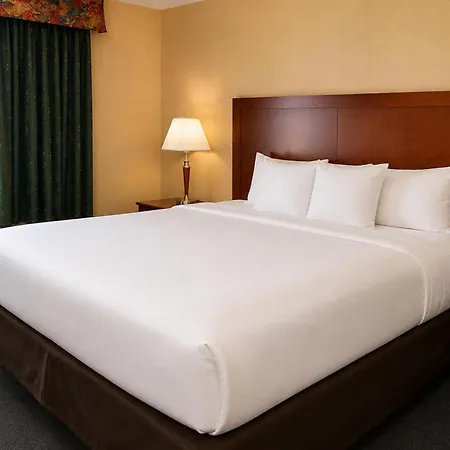 Comfort Inn & Suites Ambassador Bridge-2