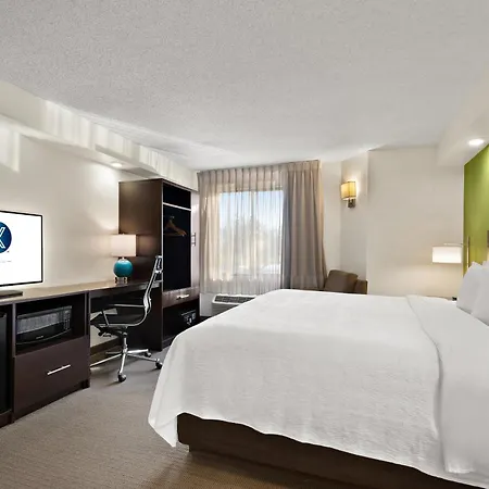 Spot X Hotel Wesley Chapel - Tampa Area-3