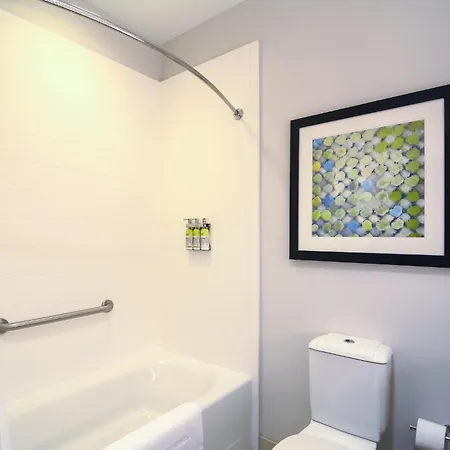 Holiday Inn Express Hotel & Suites Tampa-Usf-Busch Gardens By Ihg-2