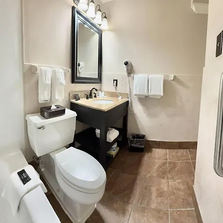 Clarion Hotel & Suites-3