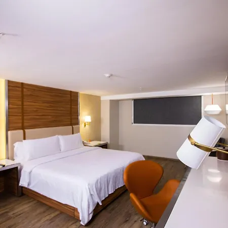 Holiday Inn Mexico Zona Centro By Ihg-3