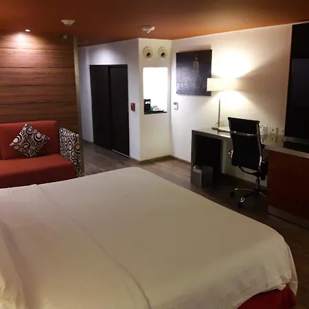 Holiday Inn Mexico Zona Centro By Ihg-2