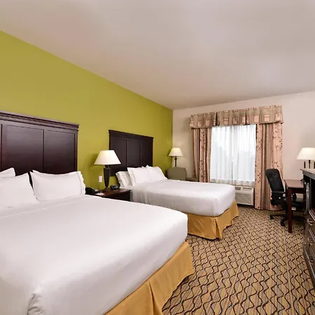Holiday Inn Express Hotel & Suites Sherman Highway 75 By Ihg-3