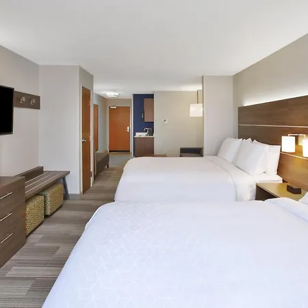 Holiday Inn Express Hotel & Suites Auburn Hills By Ihg-2